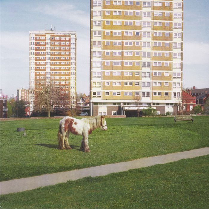 Westside Cowboy – It Goes On vinyl cover