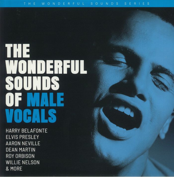 Various Artists The Wonderful Sounds Of Male Vocals