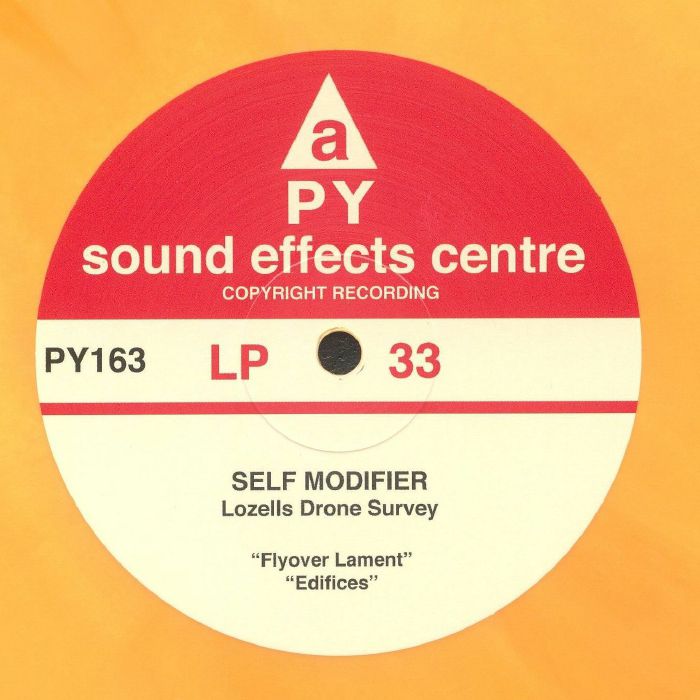 Self Modifier Vinyl