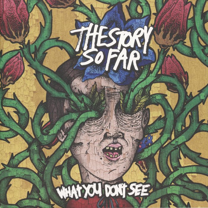 The Story So Far – What You Don't See vinyl cover