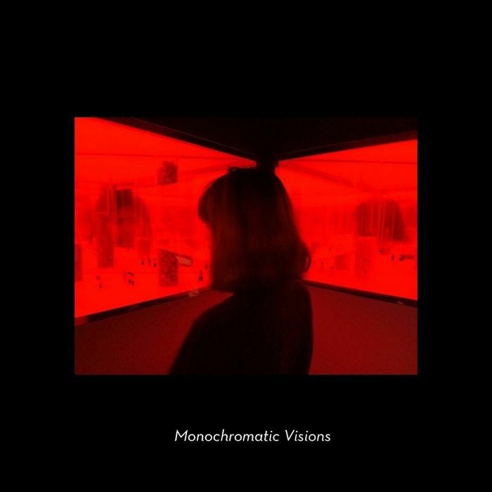 Monochromatic Visions Vinyl
