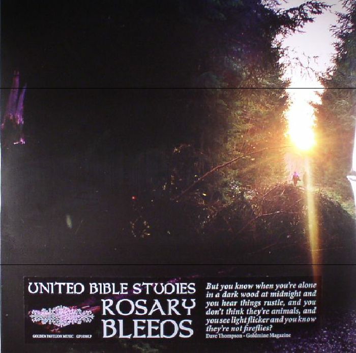 United Bible Studies Rosary Bleeds