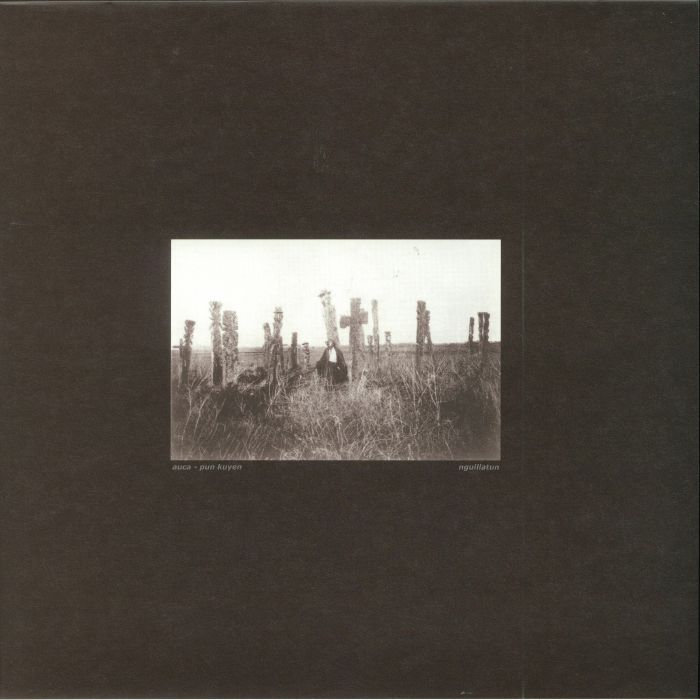 Nguillatun Vinyl