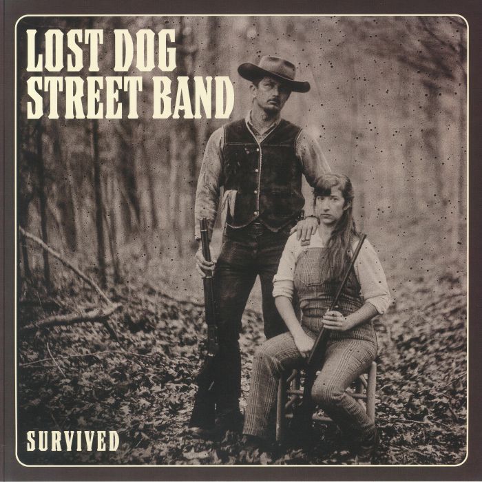 Lost Dog Street Band Survived