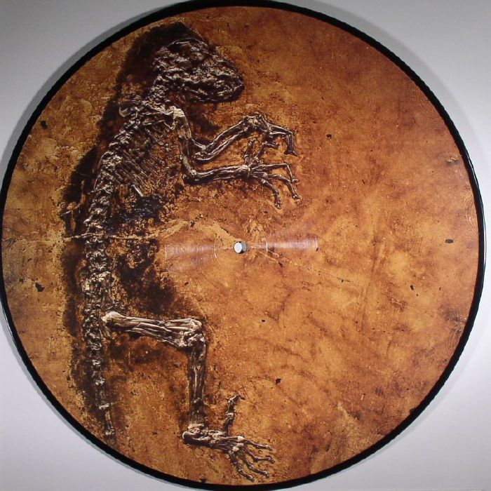 Ssse | Science Slam Sonic Explorers | Mina Caputo IDA