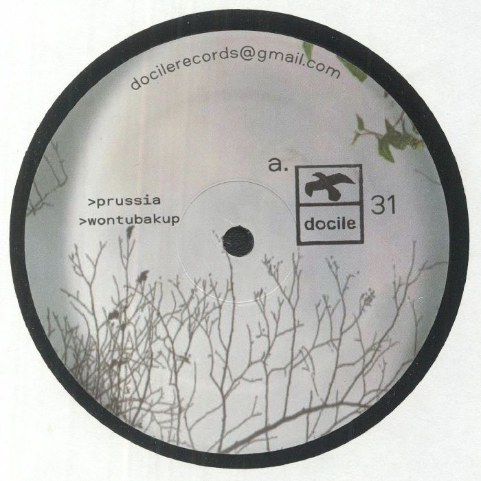 Docile Vinyl