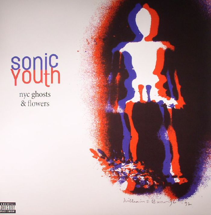 Sonic Youth NYC Ghosts and Flowers (reissue)