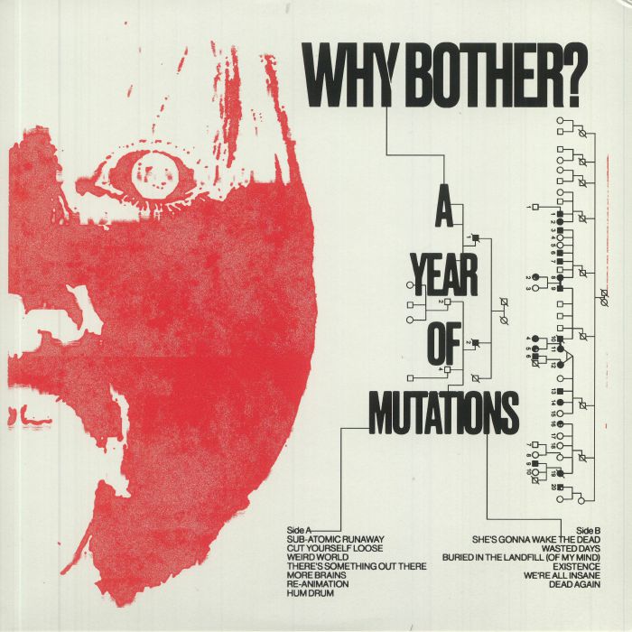 Why Bother? A Year Of Mutations
