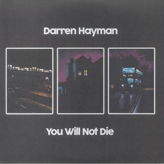 Darren Hayman You Will Not Die