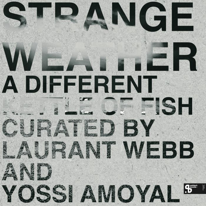 Laurant Webb | Yossi Amoyal – Strange Weather: A Different Kettle Of Fish vinyl cover
