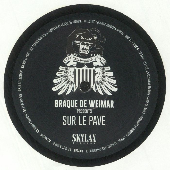 Braque De Weimar Sur Le Pave