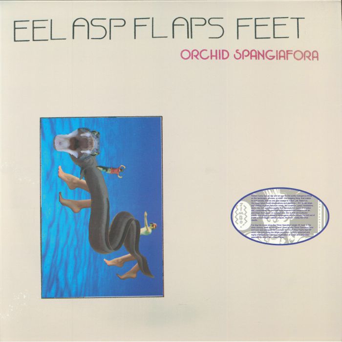 Orchid Spangiafora – Eel Asp Flaps Feet vinyl cover
