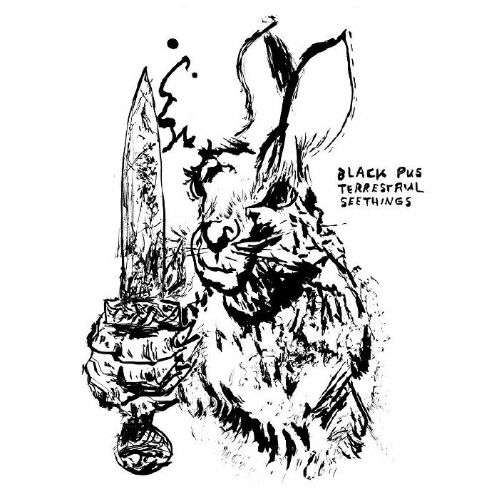Black Pus – Terrestrial Seethings vinyl cover