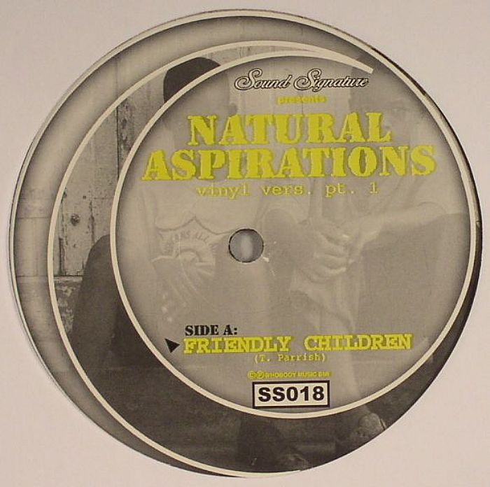 Theo Parrish Natural Aspirations (Vinyl Version Part 1)