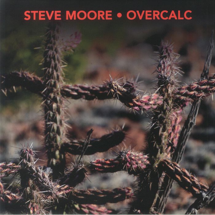 Steve Moore | Overcalc Calyx