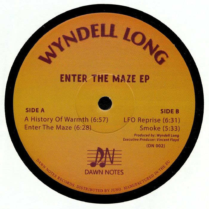 Wyndell Long Enter The Maze