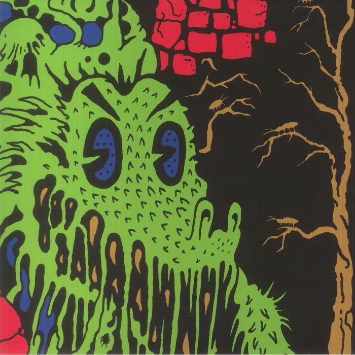 King Gizzard and The Lizard Wizard Live In Asheville 19