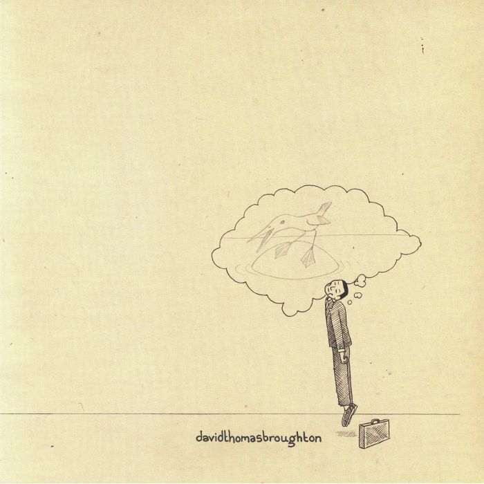 David Thomas Broughton – The Complete Guide To Insufficiency vinyl cover
