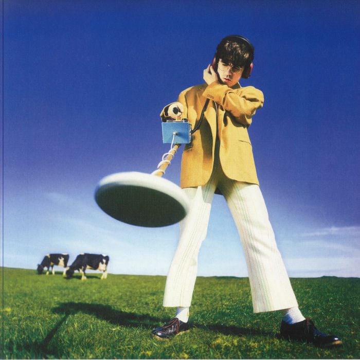 Declan Mckenna – What Happened To The Beach vinyl cover