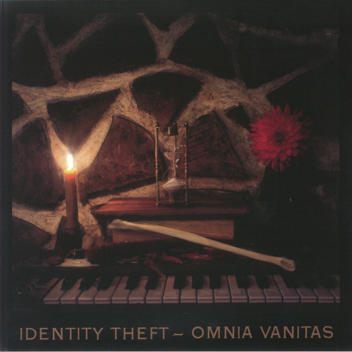 Identity Theft Omnia Vitas