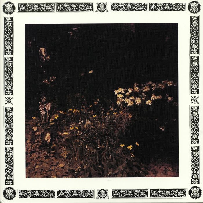 Sarah Davachi – Pale Bloom vinyl cover