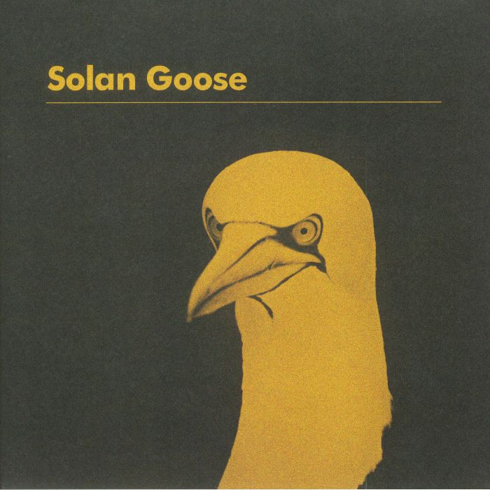 Erland Cooper Solan Goose