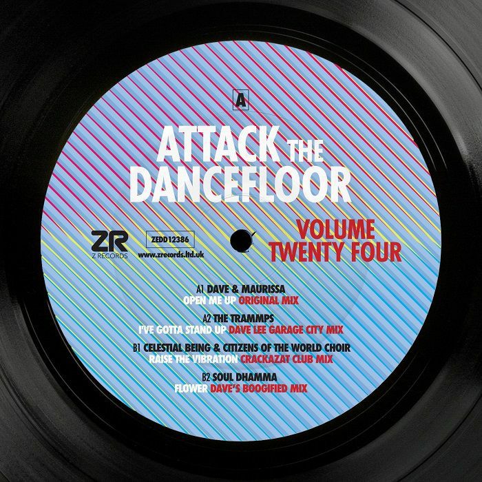 Dave Lee | Maurissa Rose | The Trammps | Celestial Being | Citizens Of The World Choir | Soul Dhamma Attack The Dancefloor Volume Twenty Four (incl Dave Lee and Crackazat mixes)