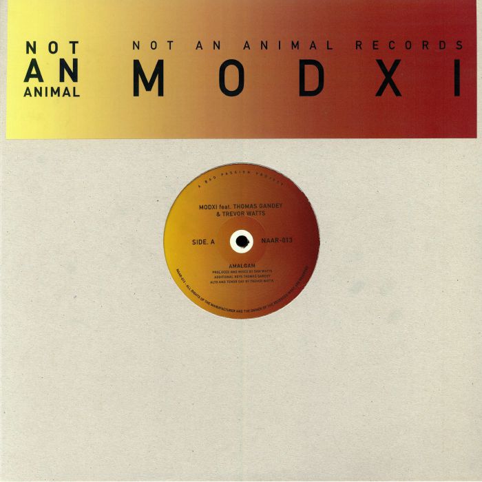 Modxi Amalgam (Roman Flugel & Frank Butters remixes)