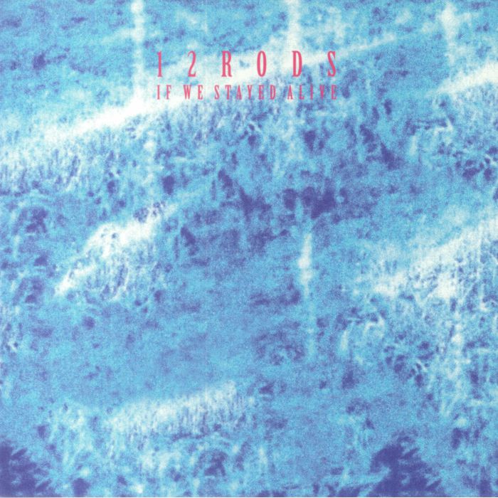 12 Rods – If We Stayed Alive vinyl cover