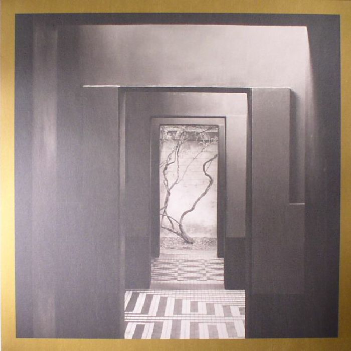 Yair Elazar Glotman | Mats Erlandsson – Negative Chambers vinyl cover