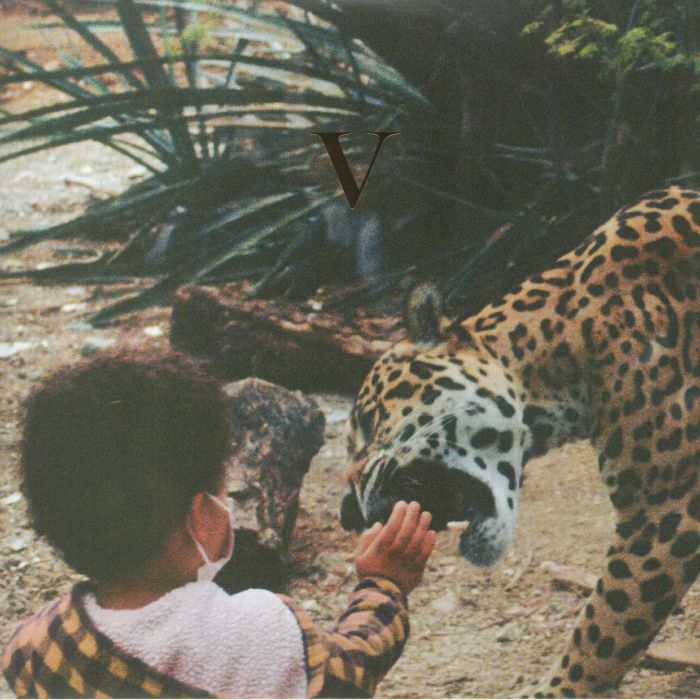 Unknown Mortal Orchestra – V vinyl cover