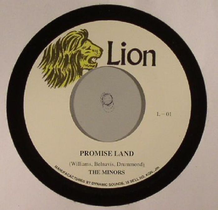Lion Vinyl