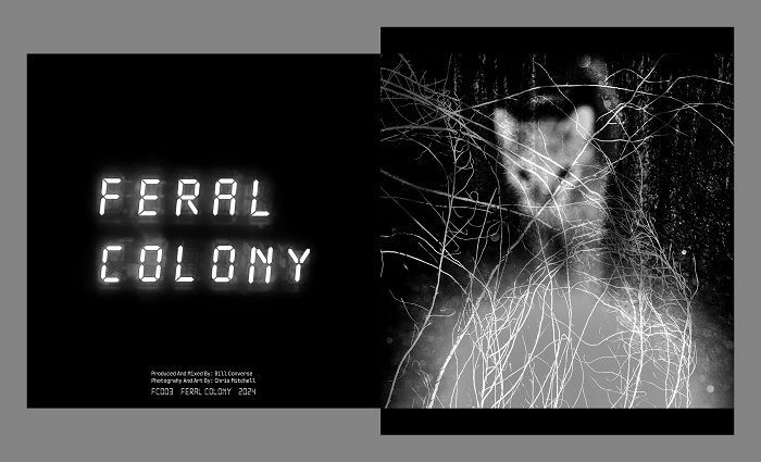 Feral Colony Vinyl