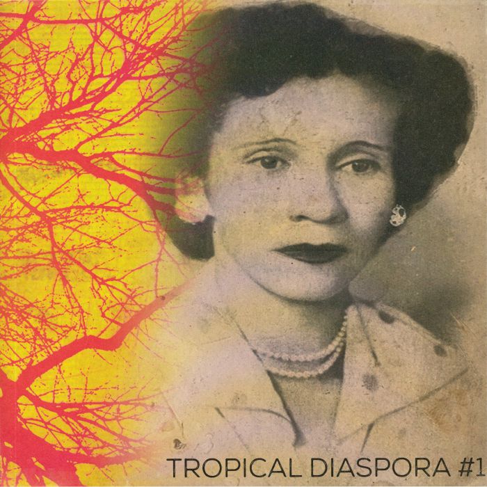 Various Artists Tropical Diaspora  1