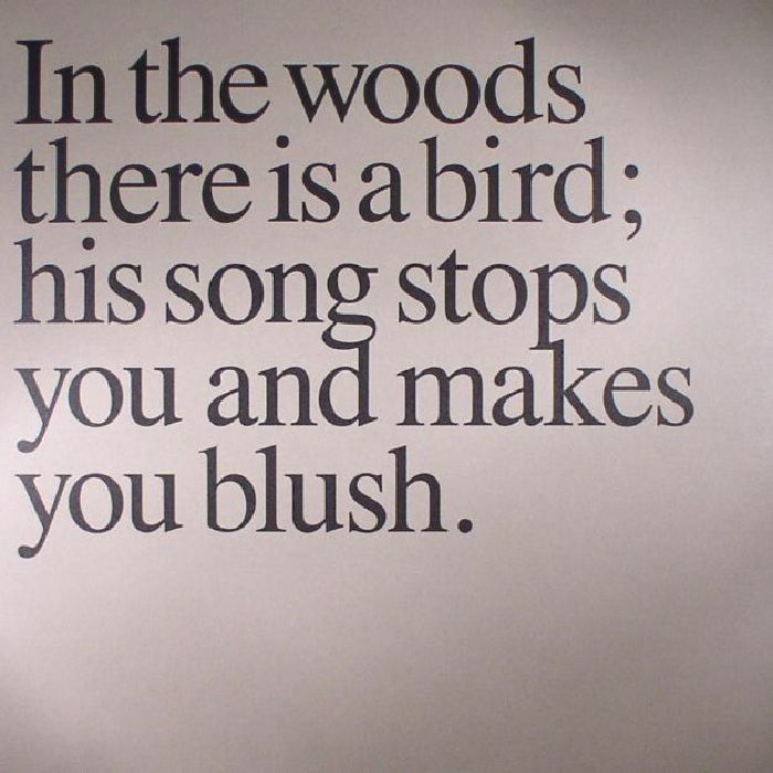 Olaf Nicolai – In The Woods There Is A Bird... vinyl cover