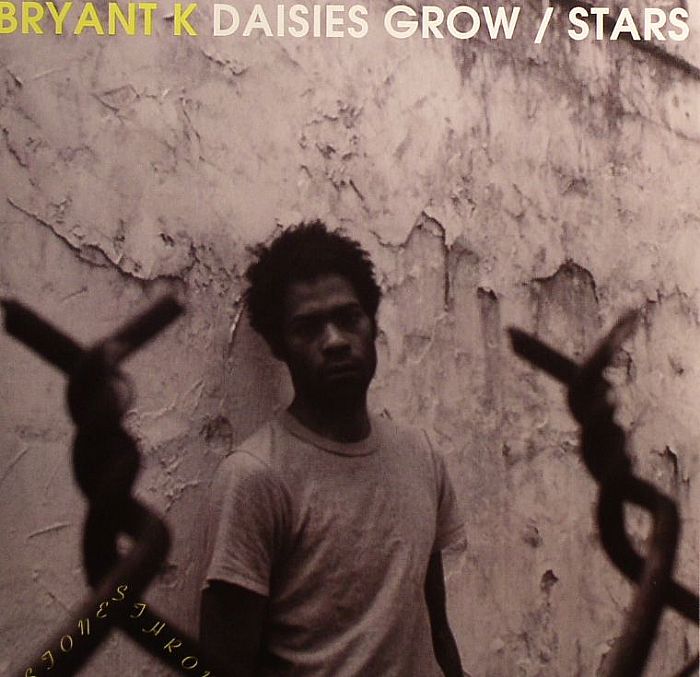 Bryant K Daisies Grow