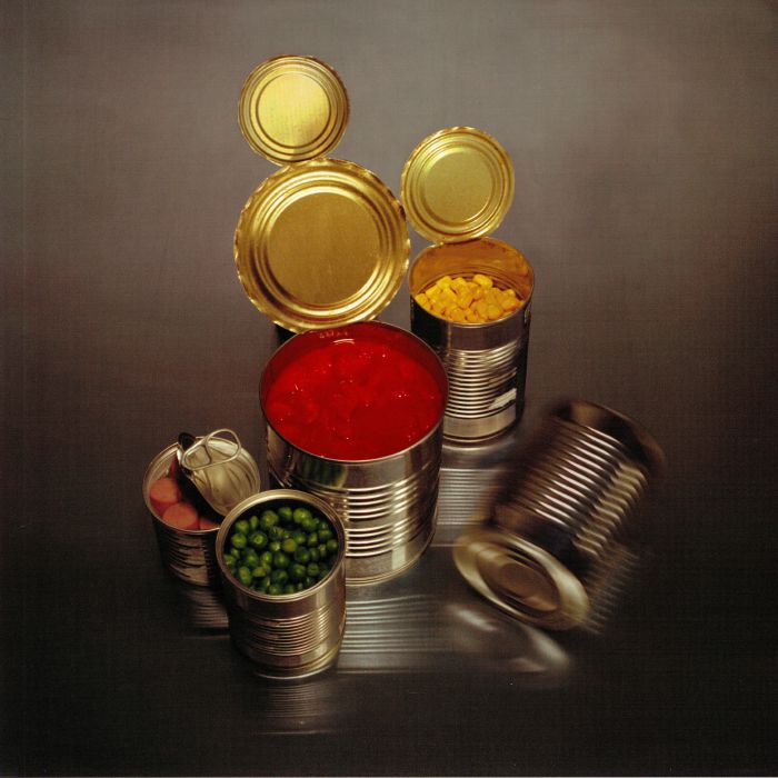 The Wants – Container vinyl cover