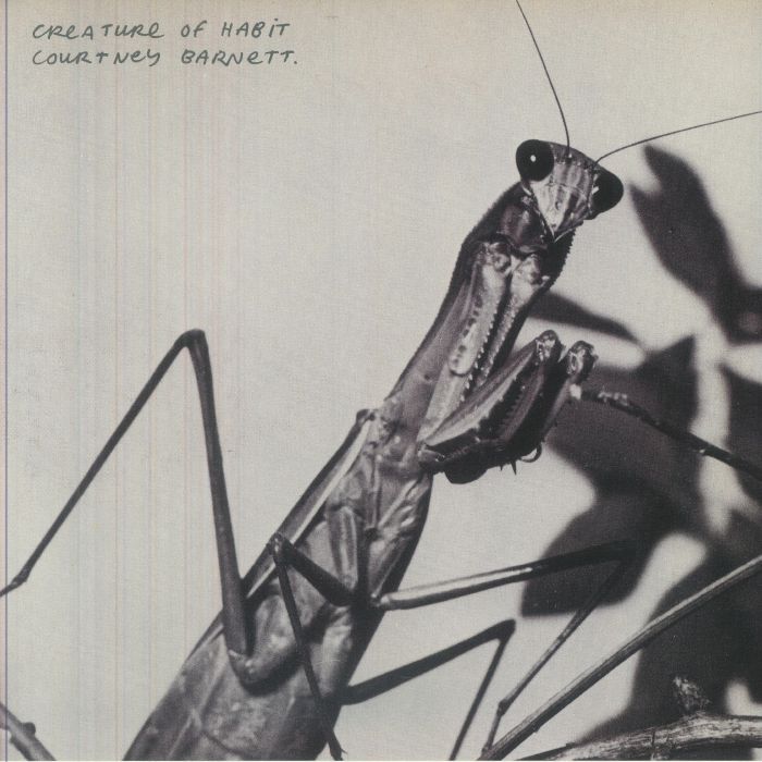 Courtney Barnett – Creature Of Habit vinyl cover