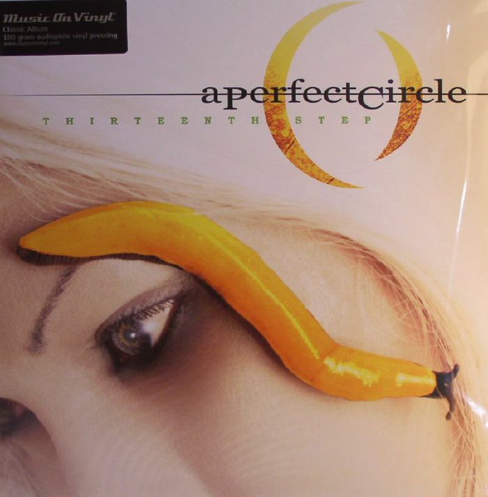 A Perfect Circle – Thirteenth Step vinyl cover