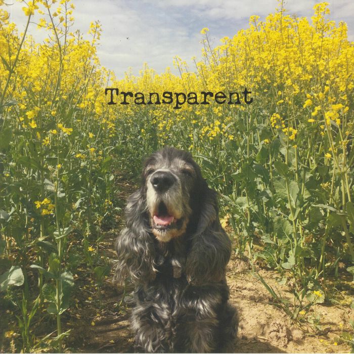Transparency Vinyl