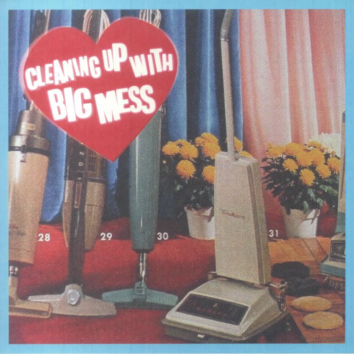 Big Mess Cleaning Up With