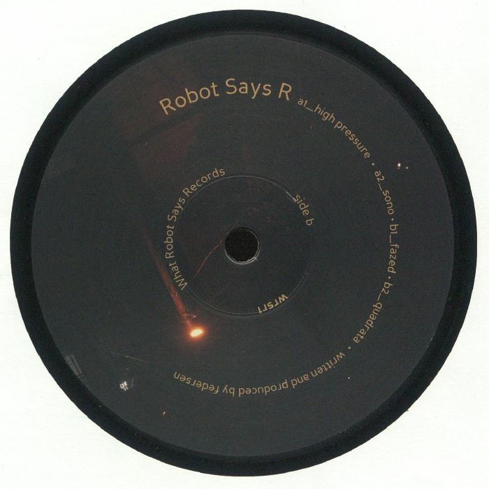 What Robot Says Vinyl