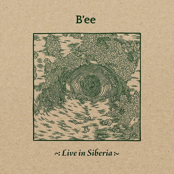 Bee | Birch Book | In Gowan Ring Live In Siberia