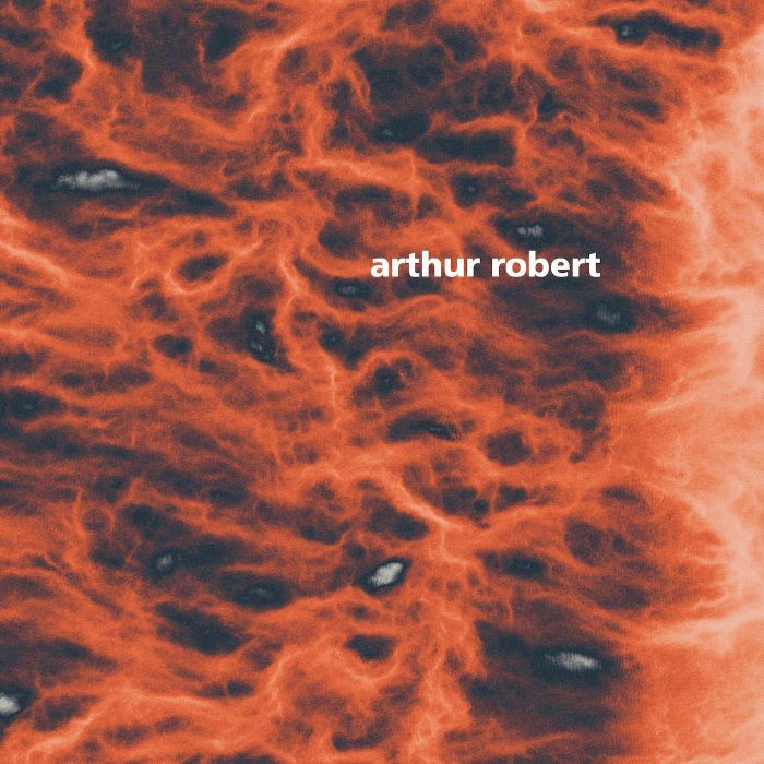 Arthur Robert Metamorphosis Part 2