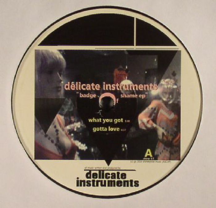 Delicate Instruments Badge Of Shame EP
