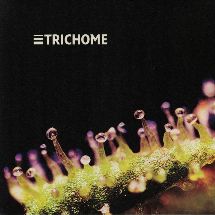 Trichome Vinyl