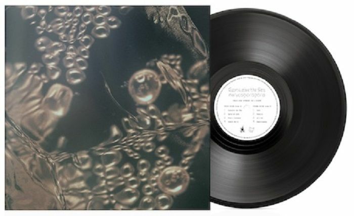 Marucoporoporo Conceive
